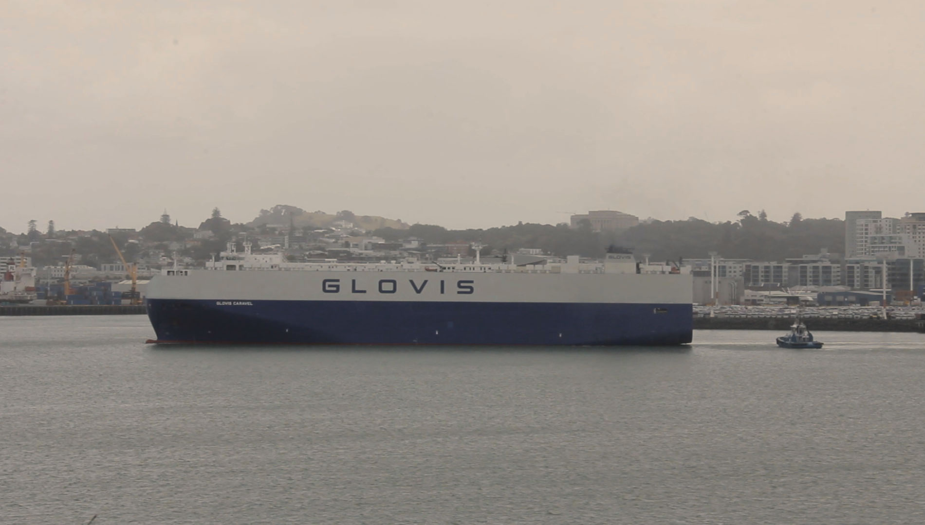 Glovis Caravel